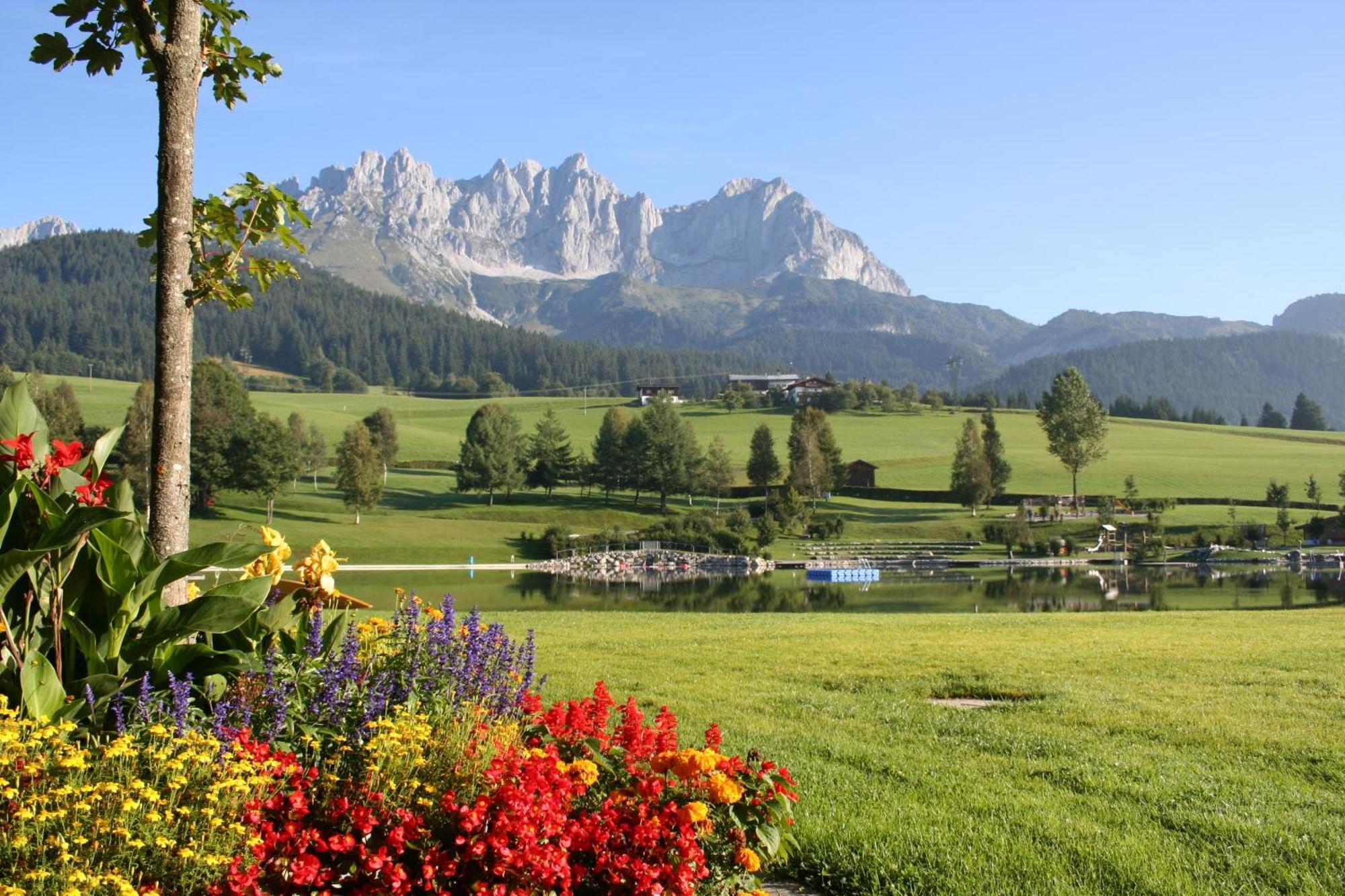Appartement Claudia Going am Wilden Kaiser Dış mekan fotoğraf